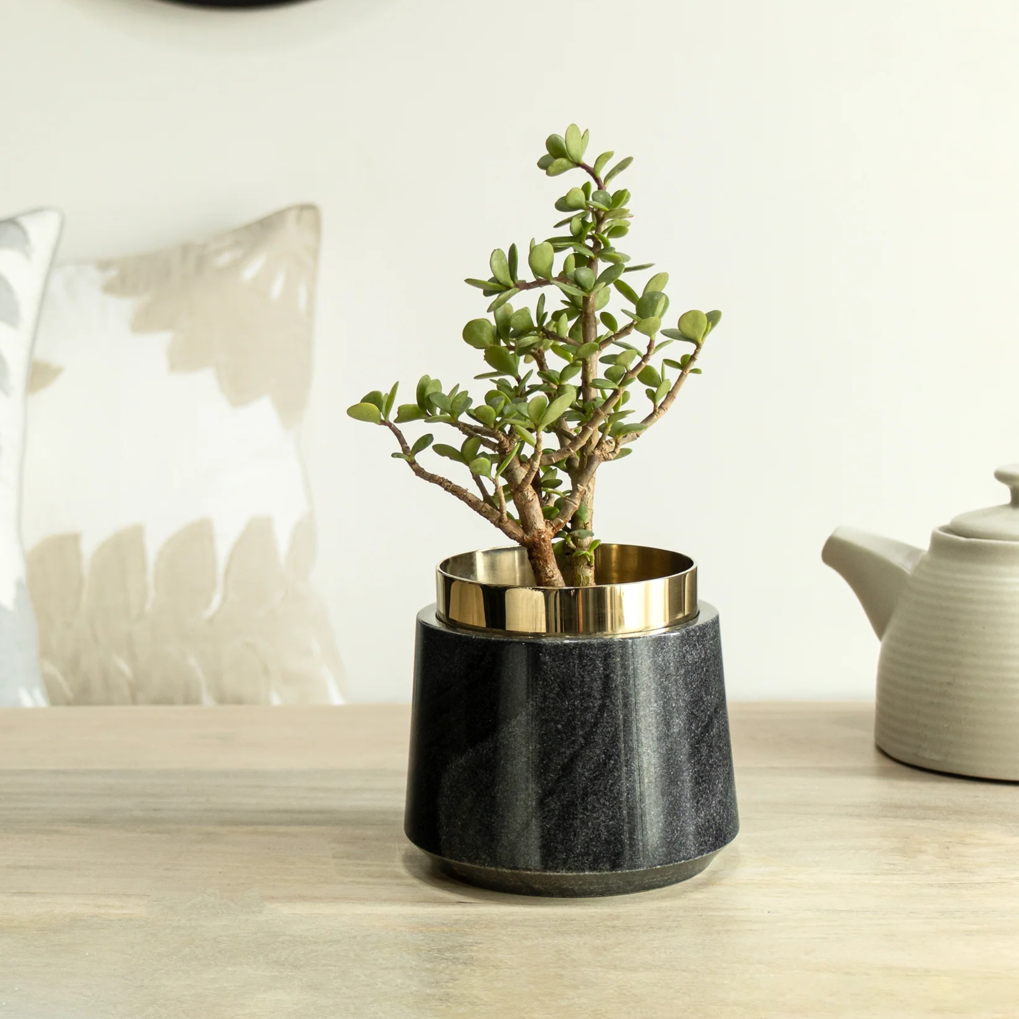 Oronoir Planter by Saswata | Tooffi