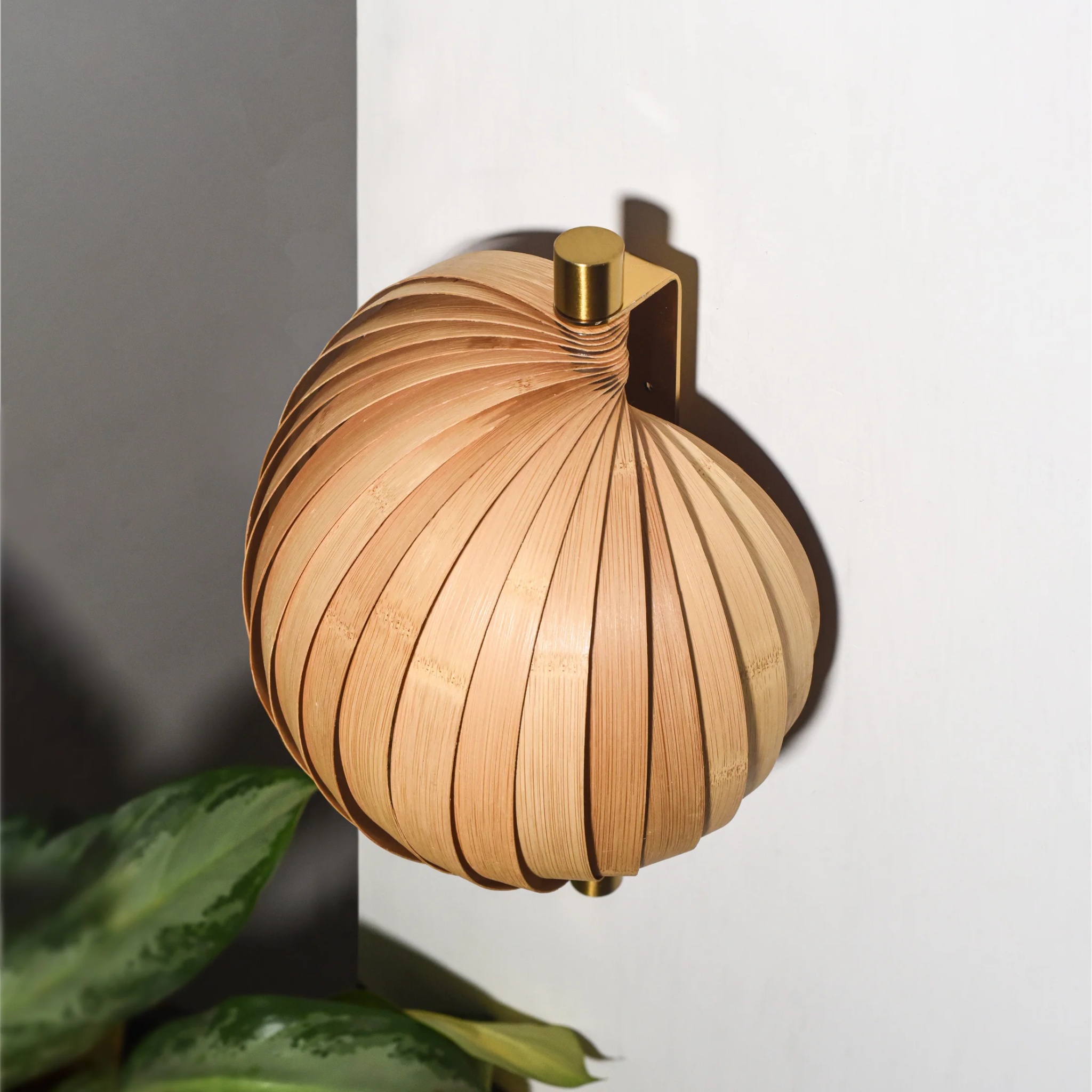 Seashell Wall Lamp: Unique Light Sconce by MIANZI | Tooffi