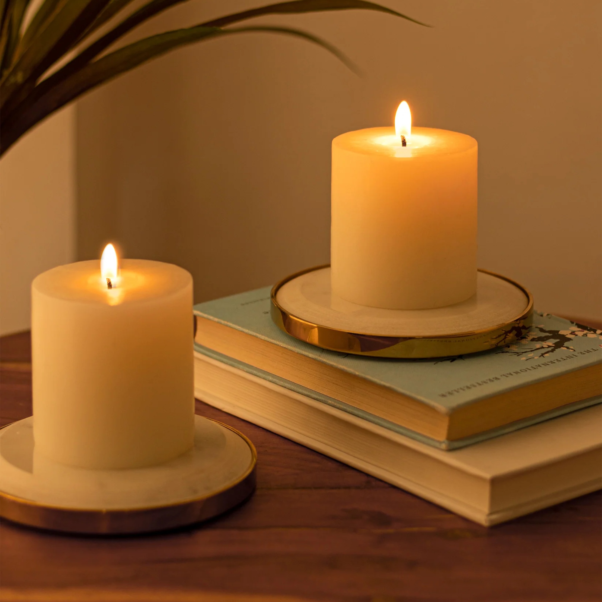 Yang Candle Plates by Saswata | Tooffi