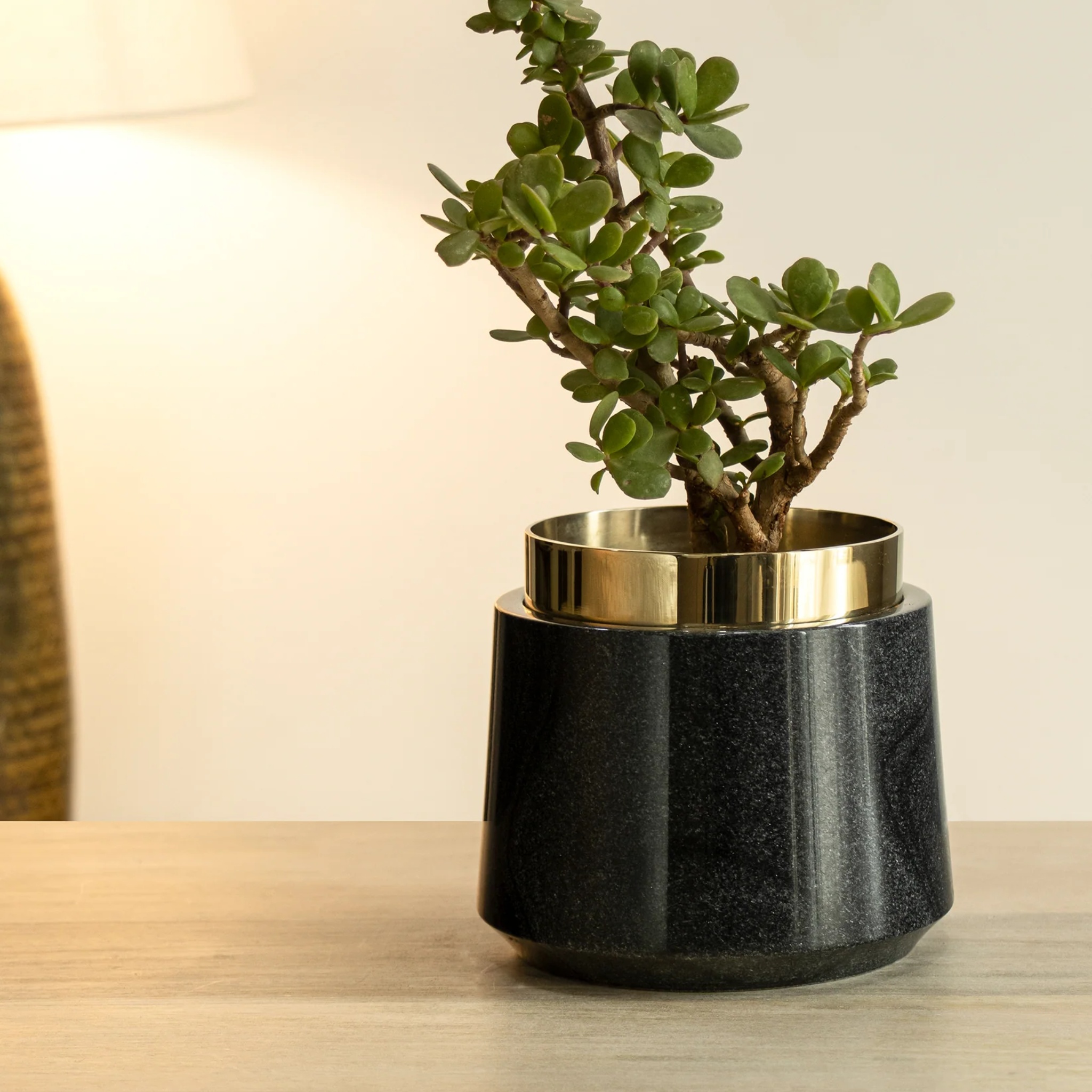 Oronoir Planter by Saswata | Tooffi
