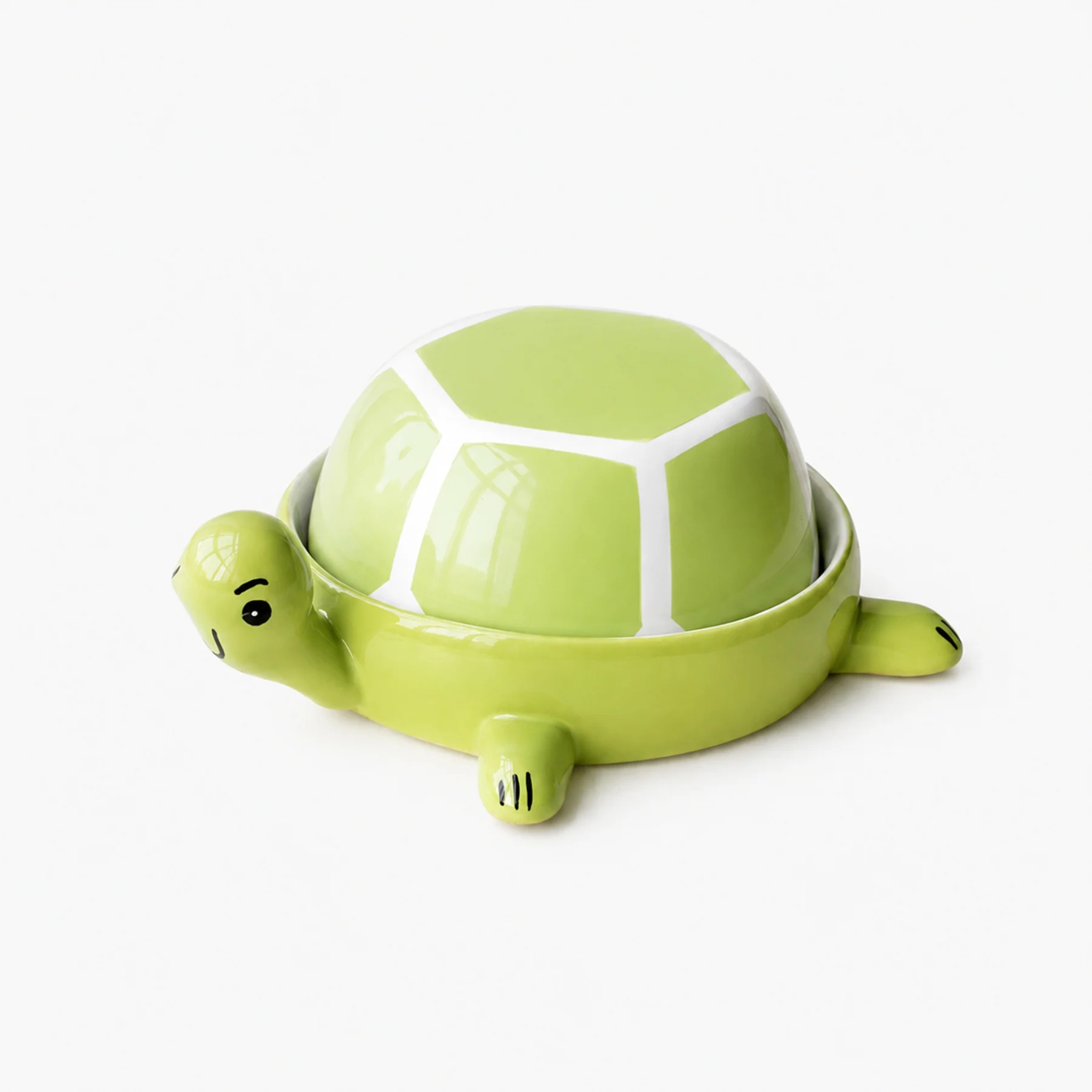 turtle paint set by nira's ceramics | Tooffi