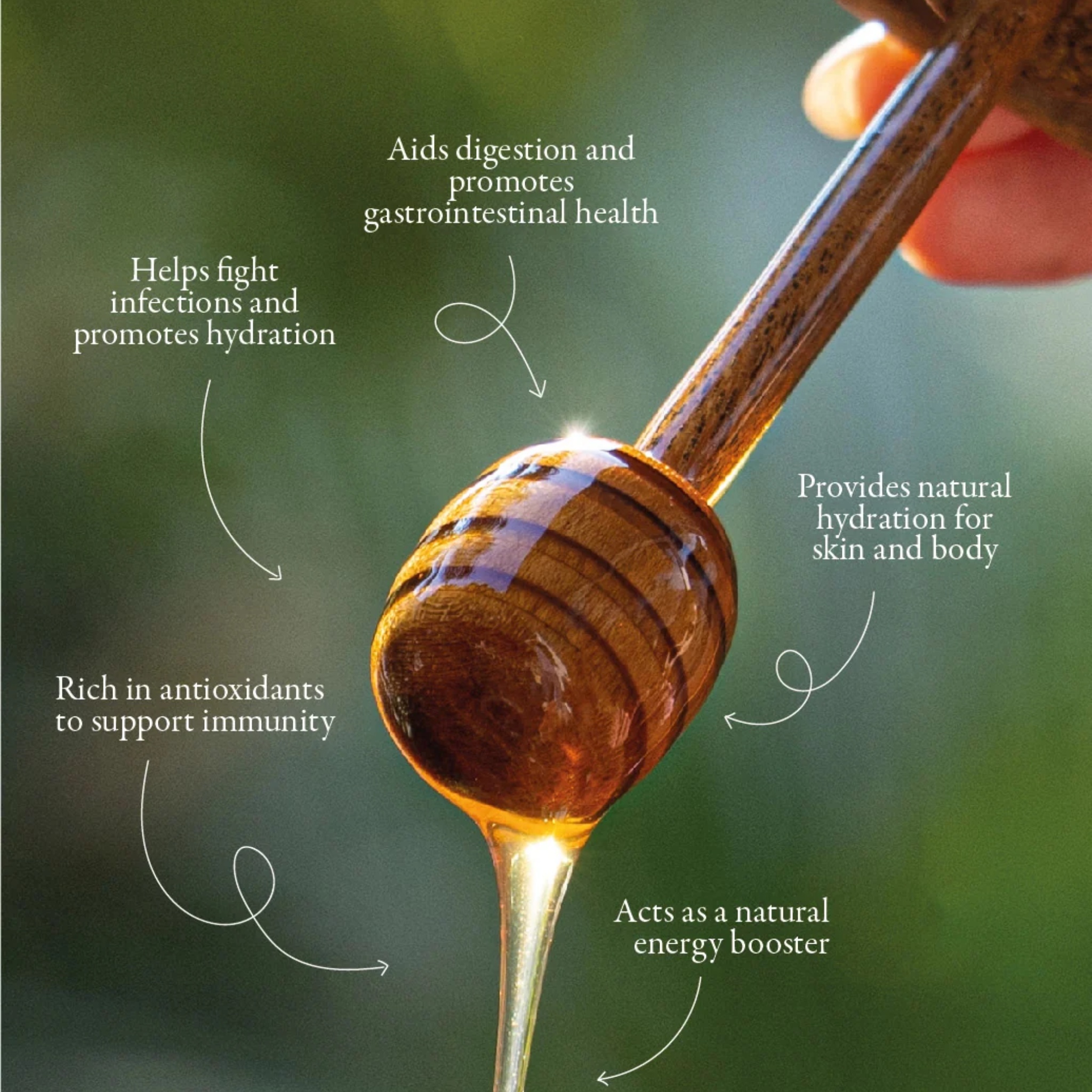 Naturally Pure Lychee Honey(350g) by GreenKarmas | Tooffi