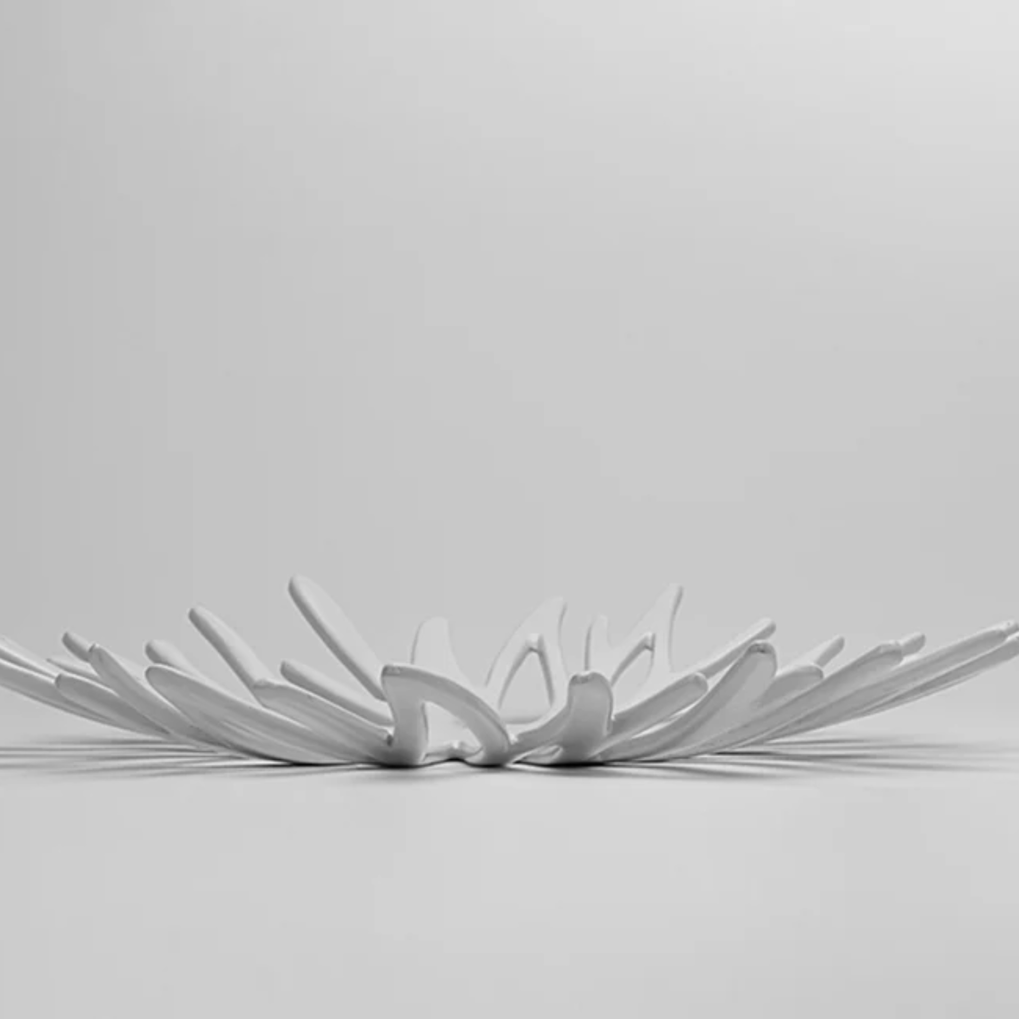 Phyllo by Saswata | Tooffi