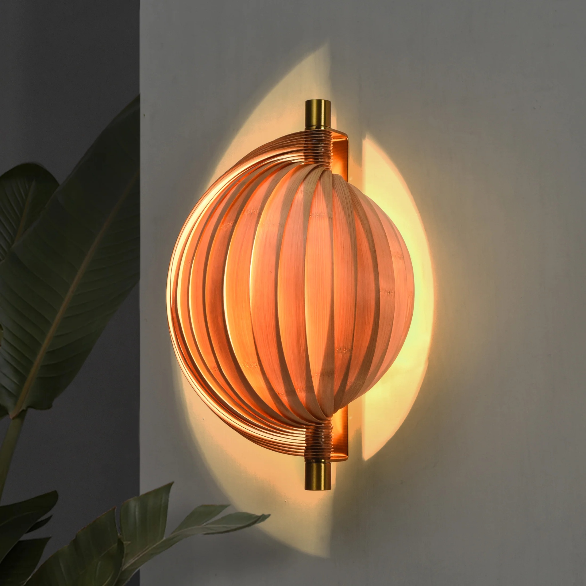 Seashell Wall Lamp: Unique Light Sconce by MIANZI | Tooffi