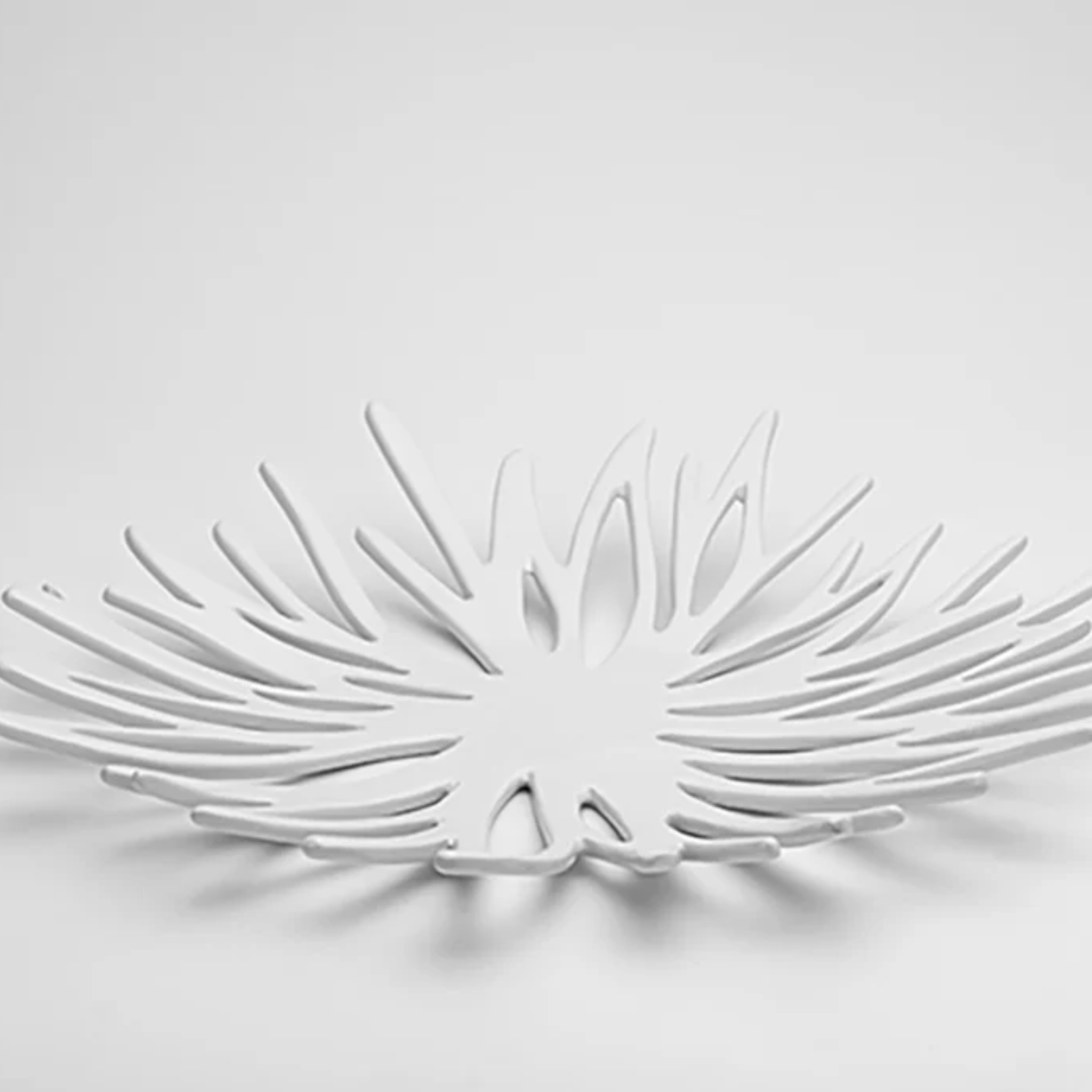 Phyllo by Saswata | Tooffi
