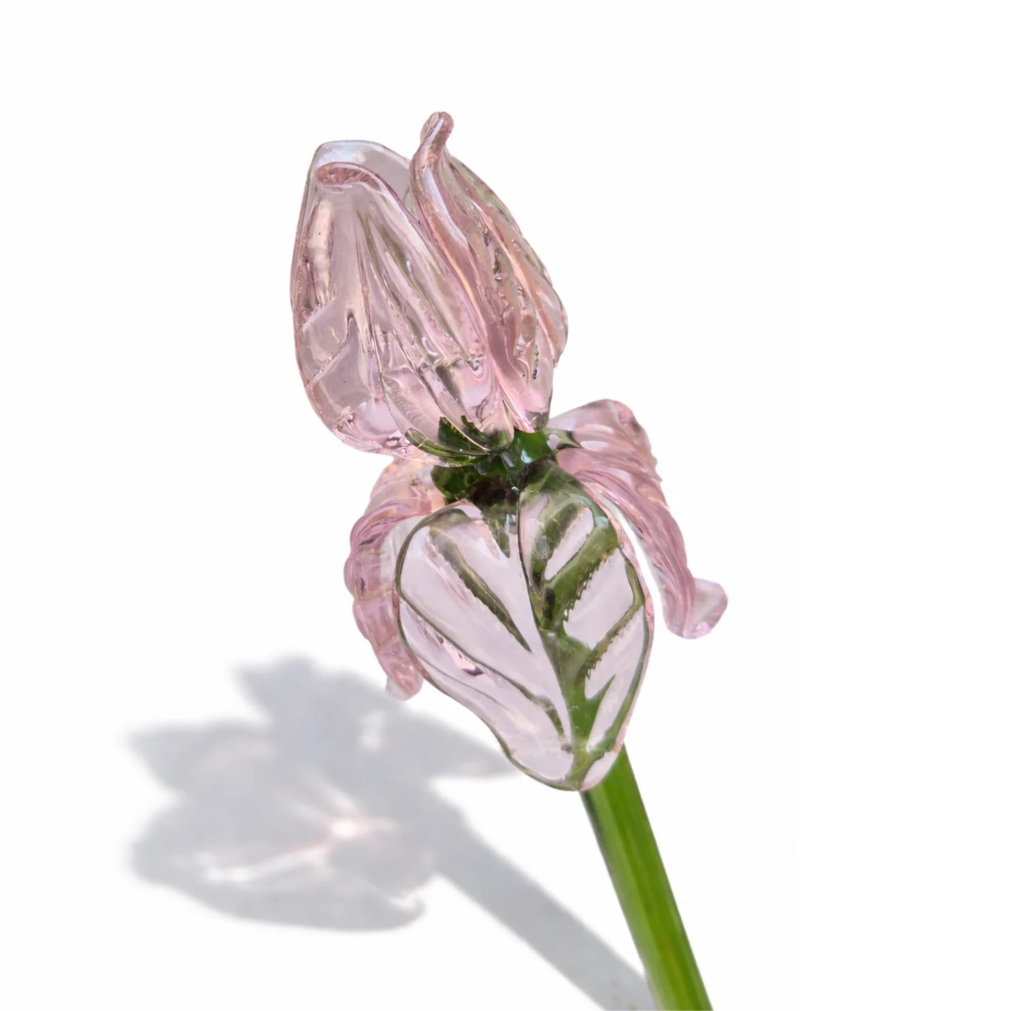 The Blush Sonata (Set of 8 Glass Roses ) by RUSTIC HORSE GLASS STUDIO | Tooffi