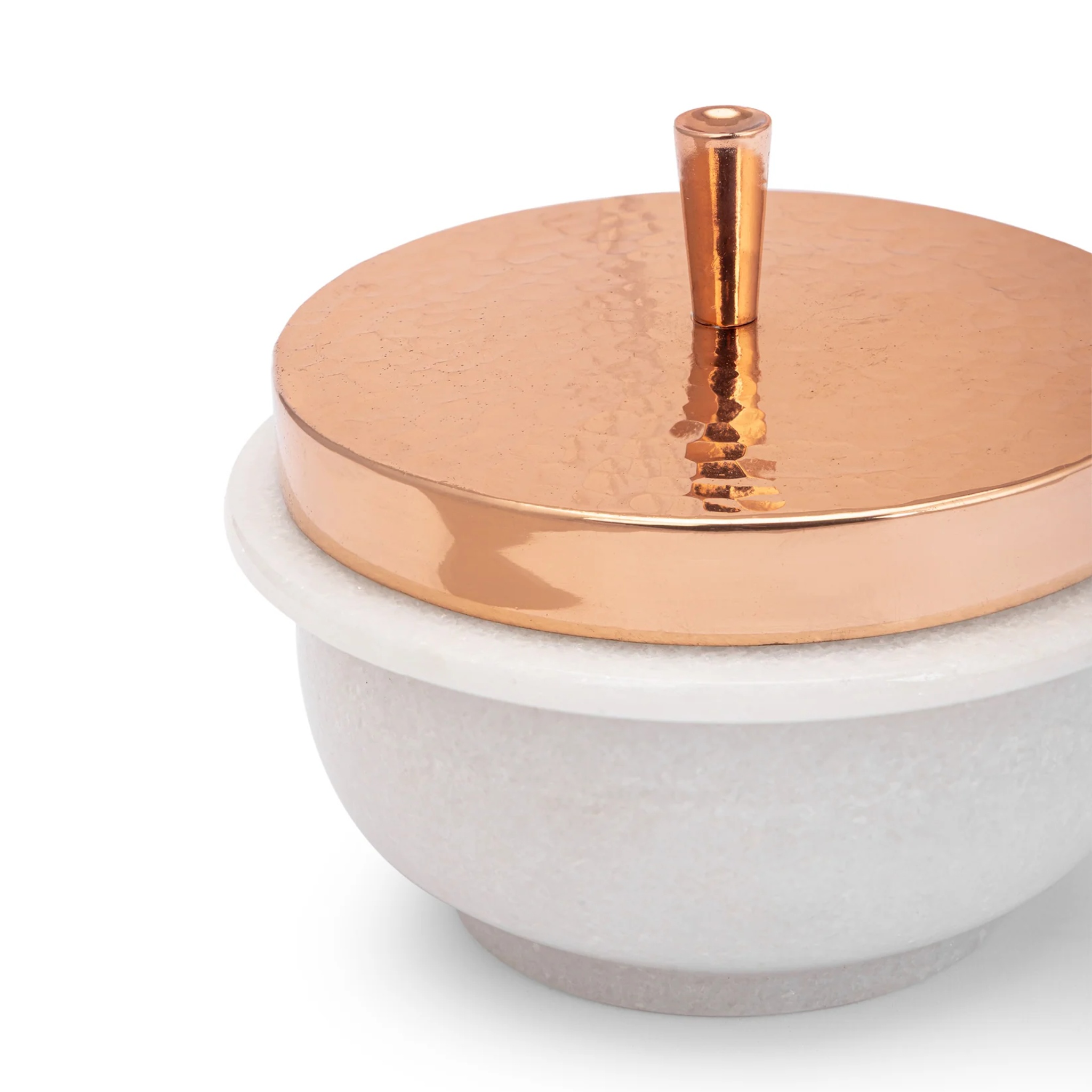 Sprig Container by Saswata | Tooffi