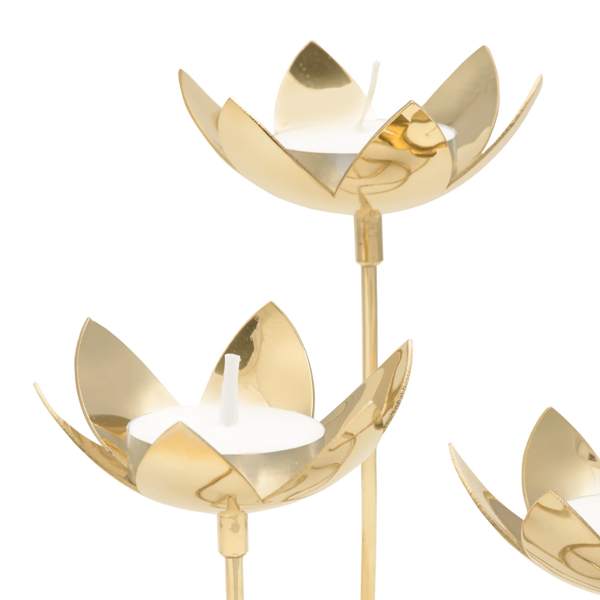 Handmade Lotus Cluster- Brass by Saswata | Tooffi