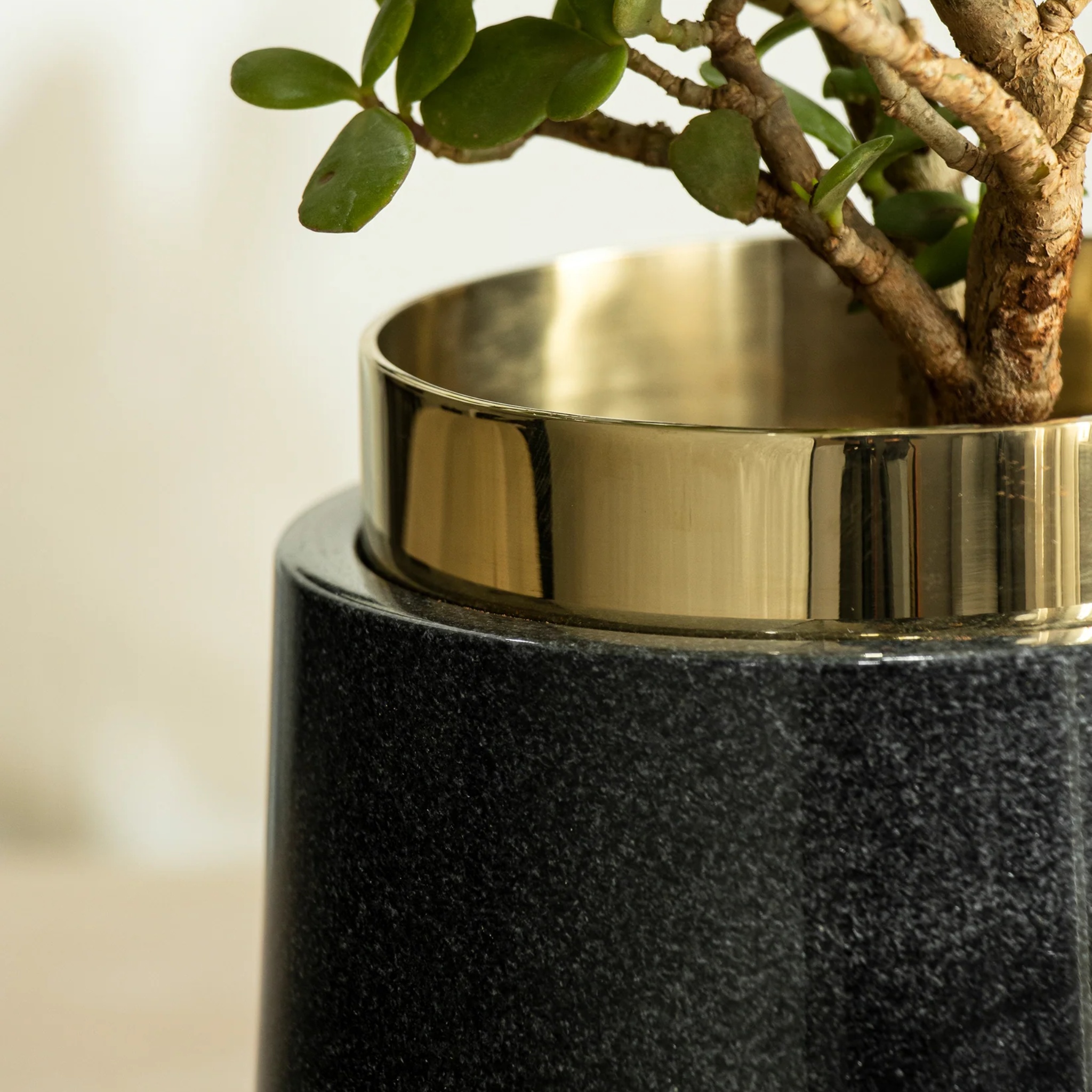 Oronoir Planter by Saswata | Tooffi